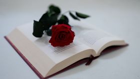 „Parte din lumea ta” de Abby Jimenez – Cartea perfectă pe care să o citești sau să o dăruiești în luna iubirii